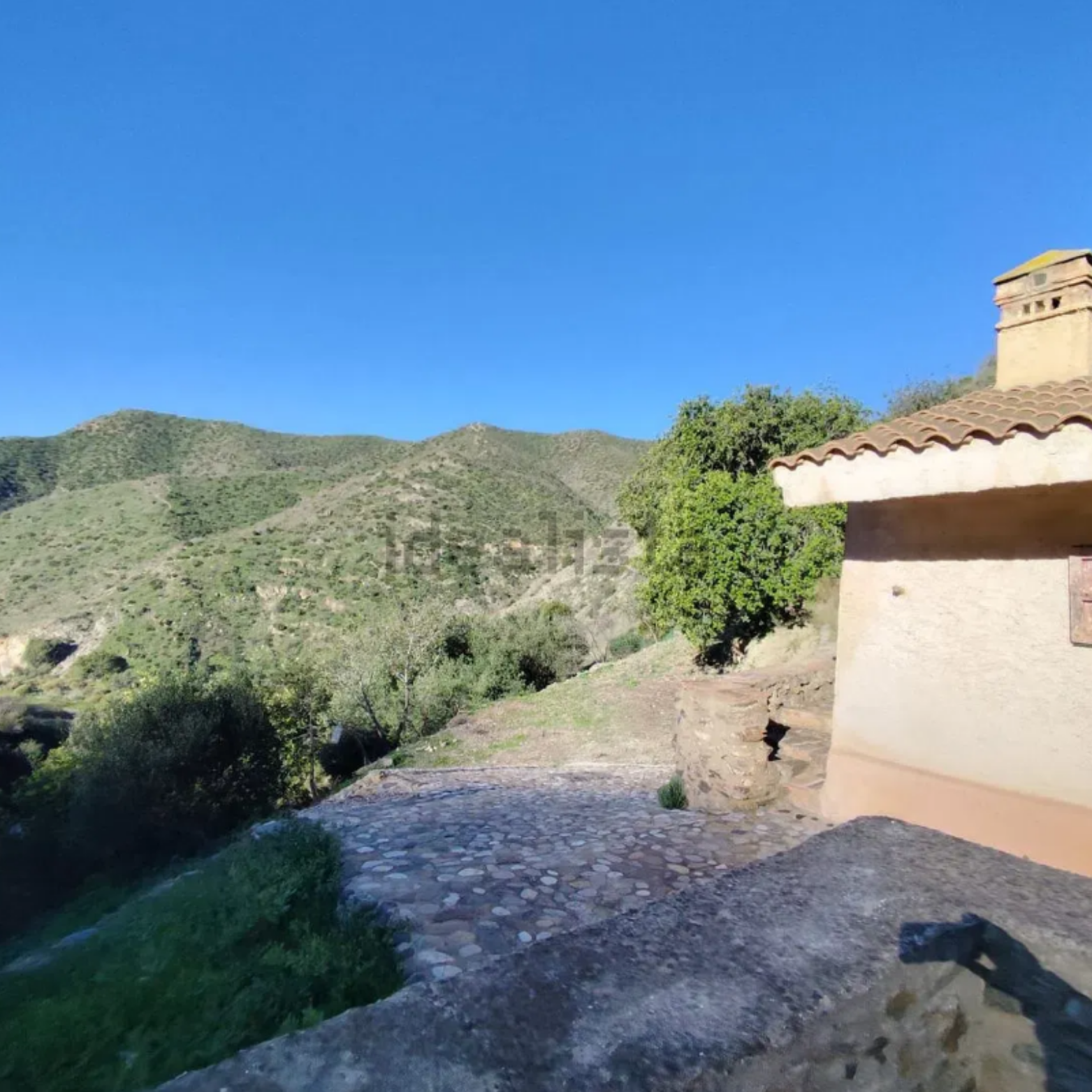 diseño sin título (5)