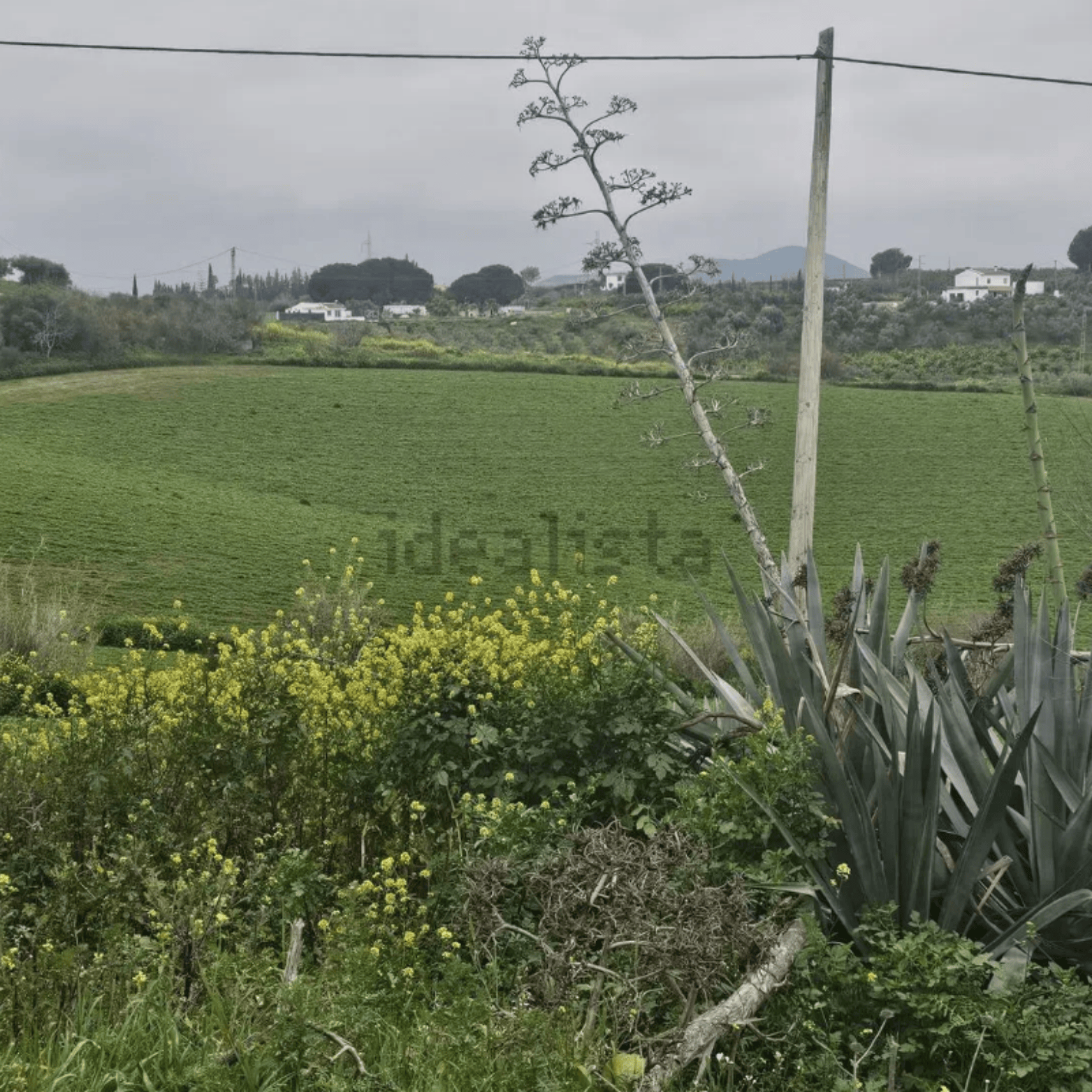 diseño sin título (7)