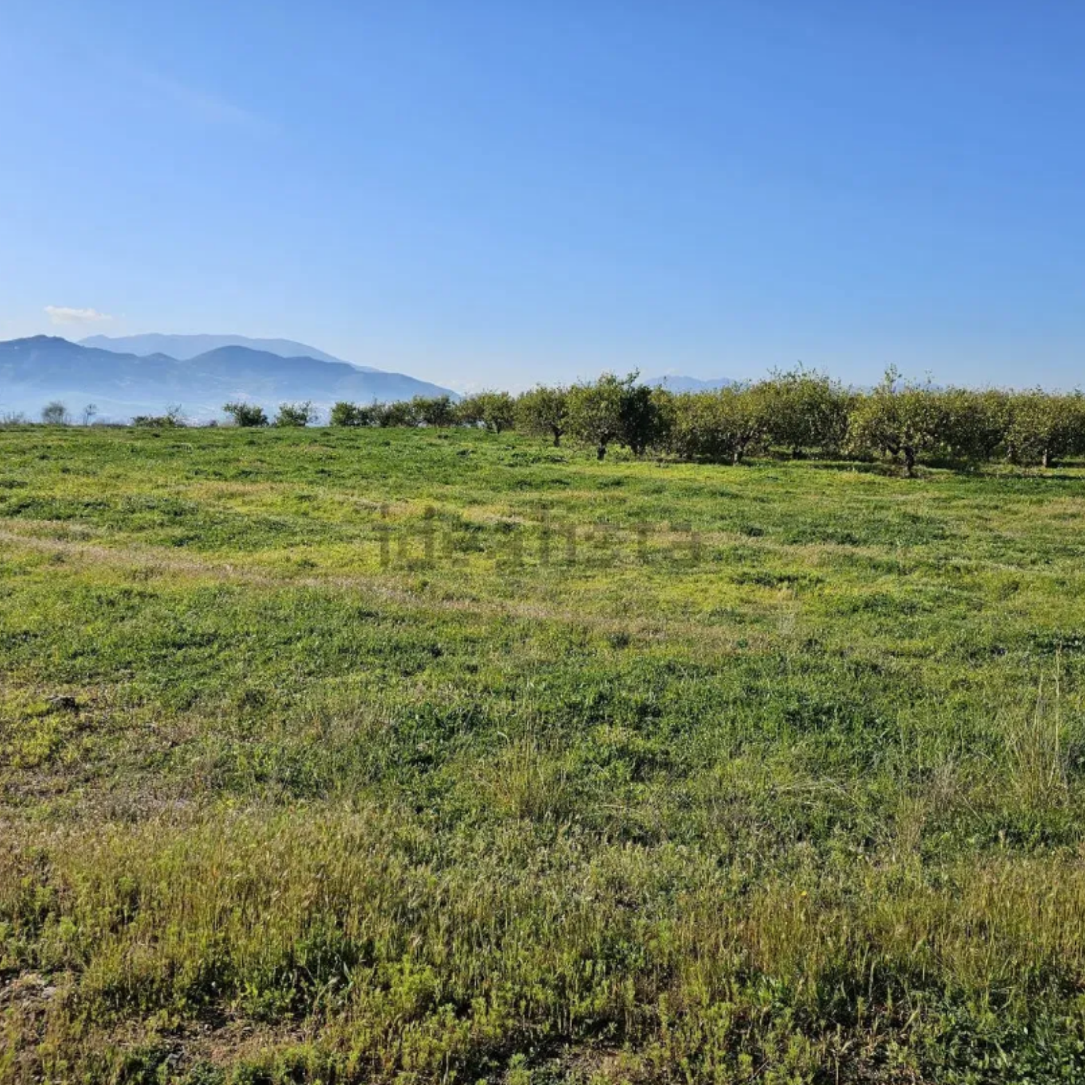 diseño sin título (9)