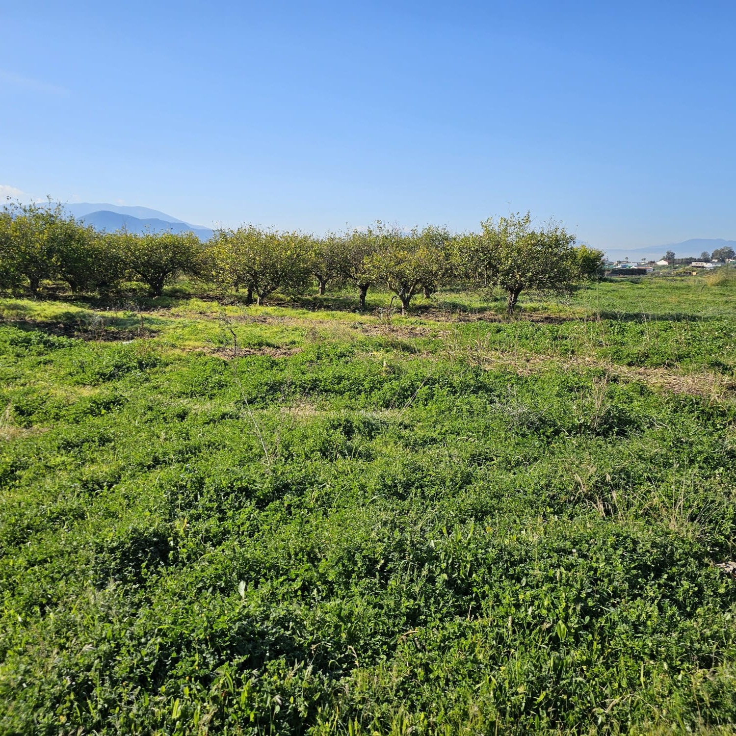 0c0d7502 a83f 4cfd 8489 7086964b47b4