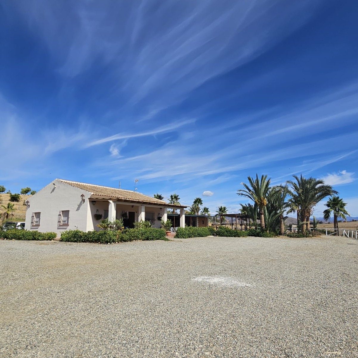 whatsapp image 2024 10 09 at 12.37.13 (3)