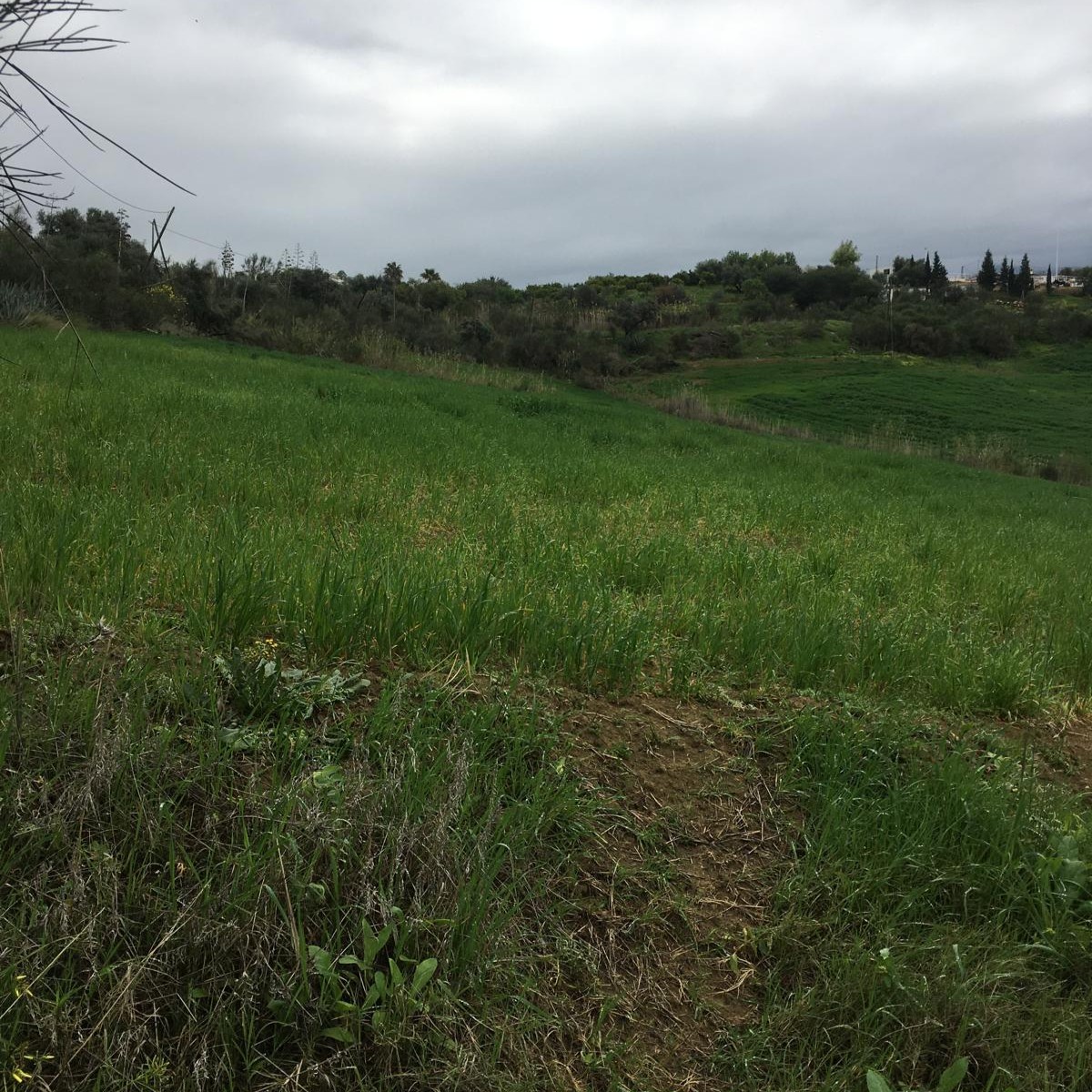 whatsapp image 2025 07 16 at 11.10.31 (2)