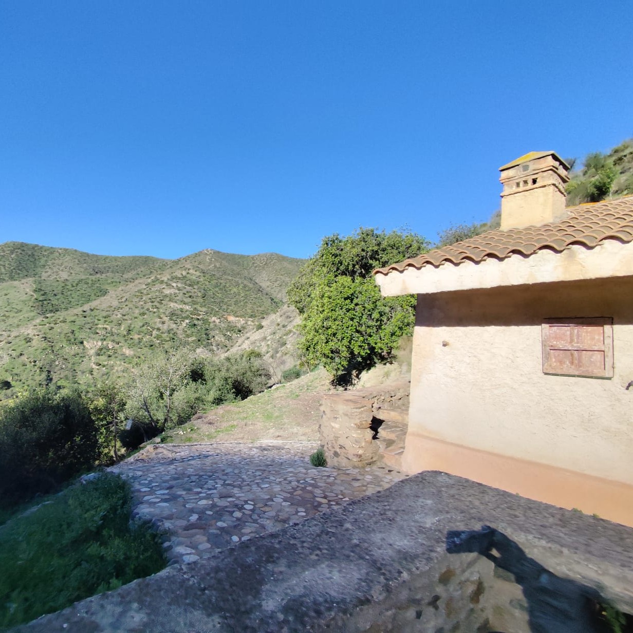 whatsapp image 2025 11 17 at 12.03.16