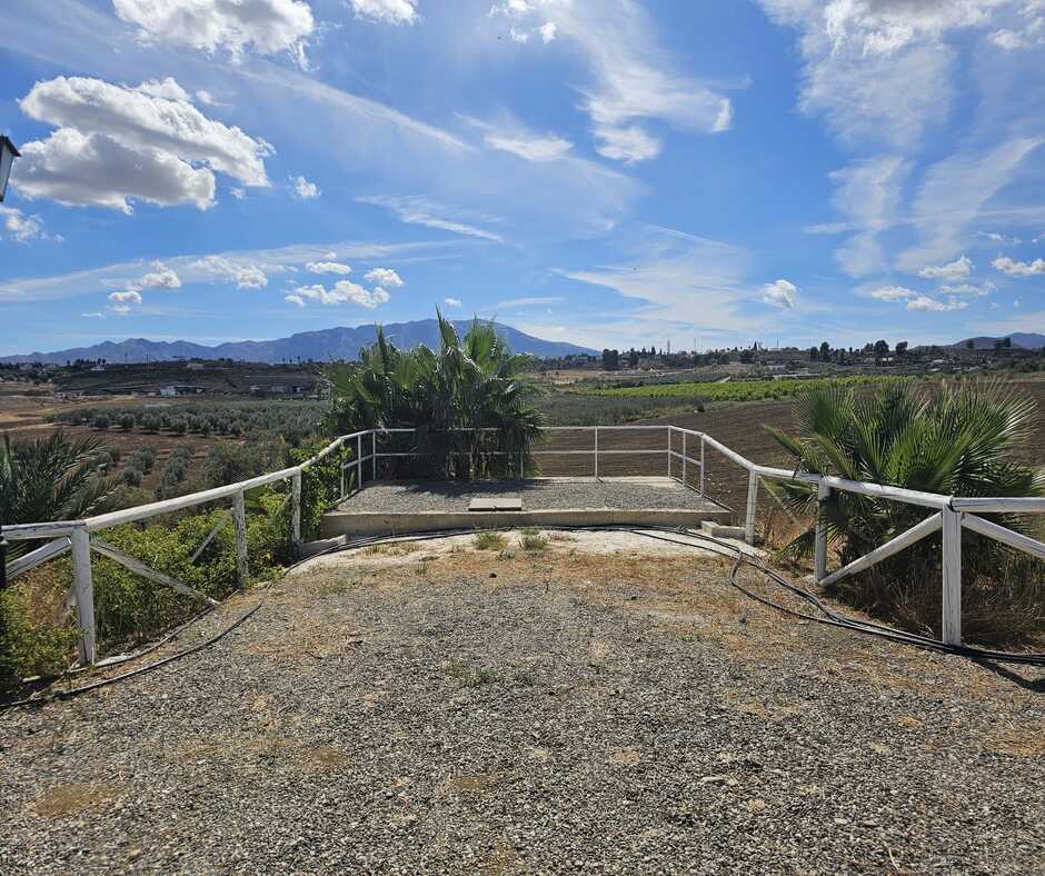 whatsapp image 2024 10 09 at 12.37.06 (1)