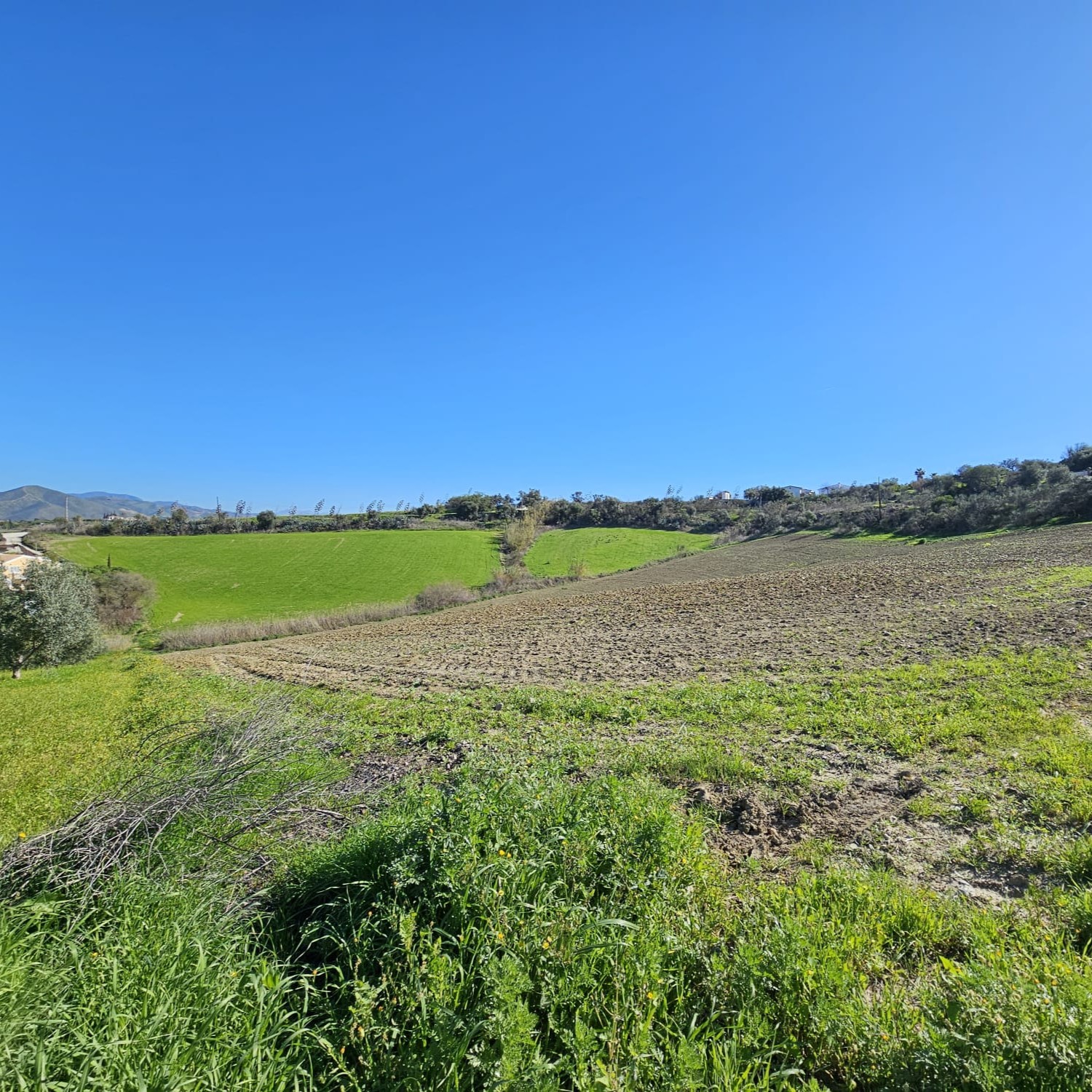 whatsapp image 2026 02 20 at 13.12.45