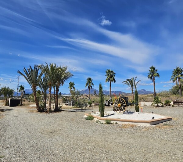 whatsapp image 2026 03 12 at 13.02.55 (1) (2)